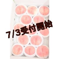 吟壌桃「川中島白桃」3L-12〜14玉（5kg）