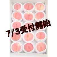 吟壌桃「川中島白桃」LL-15〜16玉（5kg）