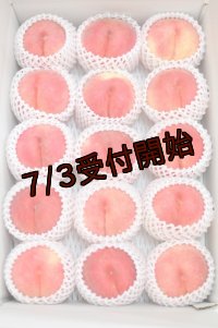 吟壌桃「川中島白桃」LL-15〜16玉（5kg）