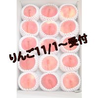 吟壌桃「川中島白桃」LL-15〜16玉（5kg）