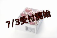 吟壌りんご「ふじ」限定プレミアム8〜10玉（3kg）