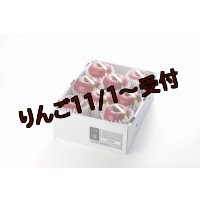 吟壌りんご「ふじ」限定プレミアム8〜10玉（3kg）