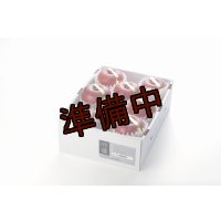 吟壌りんご「ふじ」限定プレミアム8〜10玉（3kg）