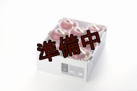 吟壌りんご「ふじ」限定プレミアム8〜10玉（3kg）