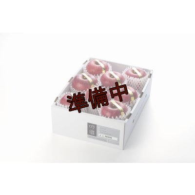 画像1: 吟壌りんご「ふじ」限定プレミアム8〜10玉（3kg）