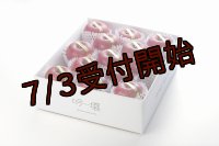 吟壌りんご「ふじ」限定プレミアム　12〜15玉（5kg） 