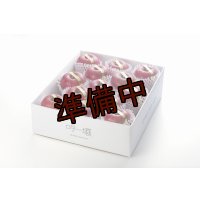 吟壌りんご「ふじ」限定プレミアム　12〜15玉（5kg） 