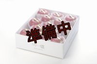 吟壌りんご「ふじ」限定プレミアム　12〜15玉（5kg） 