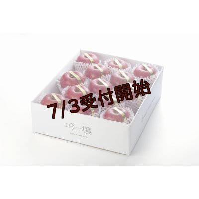画像1: 吟壌りんご「ふじ」限定プレミアム　12〜15玉（5kg） 