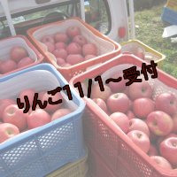 【アウトレット】りんご「ふじ」ジュース加工用（10ｋｇ）