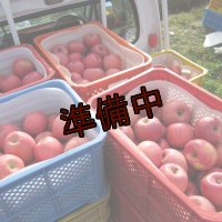 【アウトレット】りんご「ふじ」ジュース加工用（10ｋｇ）