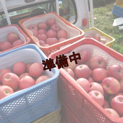 画像1: 【アウトレット】りんご「ふじ」ジュース加工用（10ｋｇ）