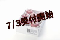 吟壌りんご「ふじ」LLサイズ8〜9玉（3kg）