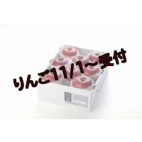 吟壌りんご「ふじ」LLサイズ8〜9玉（3kg）