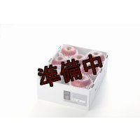 吟壌りんご「ふじ」LLサイズ8〜9玉（3kg）