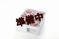吟壌りんご「ふじ」LLサイズ8〜9玉（3kg）