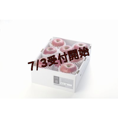 画像1: 吟壌りんご「ふじ」LLサイズ8〜9玉（3kg）