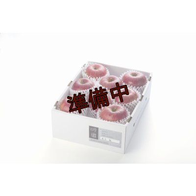画像1: 吟壌りんご「ふじ」LLサイズ8〜9玉（3kg）