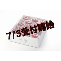 吟壌りんご「ふじ」LLサイズ12〜14玉（5kg）