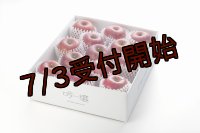 吟壌りんご「ふじ」LLサイズ12〜14玉（5kg）