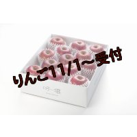 吟壌りんご「ふじ」LLサイズ12〜14玉（5kg）