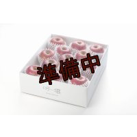 吟壌りんご「ふじ」LLサイズ12〜14玉（5kg）
