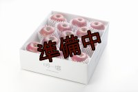 吟壌りんご「ふじ」LLサイズ12〜14玉（5kg）