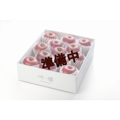 画像1: 吟壌りんご「ふじ」LLサイズ12〜14玉（5kg）