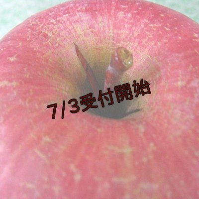 画像2: 【アウトレット】吟壌りんご「ふじ」家庭用(割果)12〜18玉（5ｋｇ）