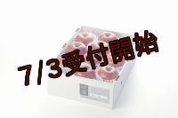 吟壌りんご「ふじ」Lサイズ10〜11玉（3kg）