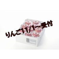 吟壌りんご「ふじ」Lサイズ10〜11玉（3kg）