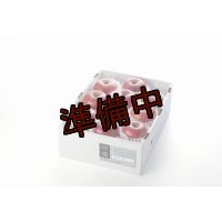 吟壌りんご「ふじ」Lサイズ10〜11玉（3kg）