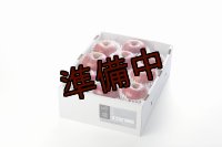 吟壌りんご「ふじ」Lサイズ10〜11玉（3kg）
