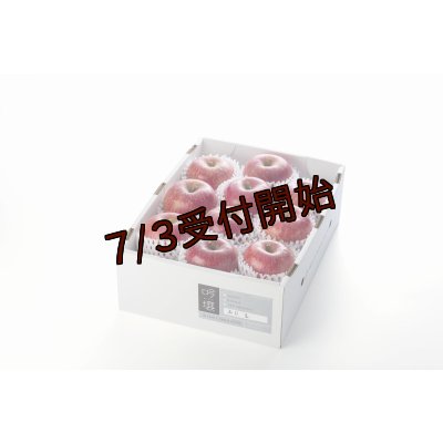 画像1: 吟壌りんご「ふじ」Lサイズ10〜11玉（3kg）
