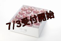 吟壌りんご「ふじ」Lサイズ15〜16玉（5kg）