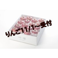 吟壌りんご「ふじ」Lサイズ15〜16玉（5kg）