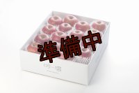 吟壌りんご「ふじ」Lサイズ15〜16玉（5kg）
