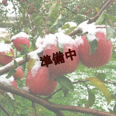 画像2: 吟壌福箱〜X'mas Special