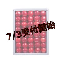 吟壌さくらんぼ「佐藤錦」LL玉　500ｇ　化粧箱