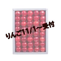 吟壌さくらんぼ「佐藤錦」LL玉　500ｇ　化粧箱