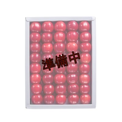画像1: 吟壌さくらんぼ「佐藤錦」LL玉　500ｇ　化粧箱
