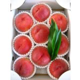 吟壌桃「川中島白桃」LL-9〜10玉（3kg）
