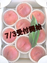 吟壌桃「川中島白桃」LL-9〜10玉（3kg）