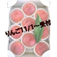 吟壌桃「川中島白桃」LL-9〜10玉（3kg）