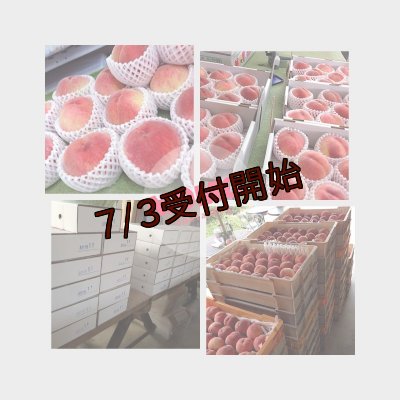 画像3: 吟壌桃「幸茜」2L-9〜10玉（3kg）