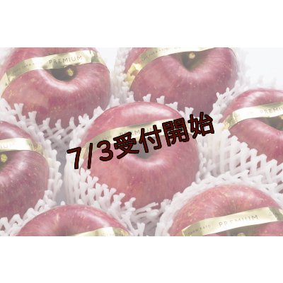 画像2: 吟壌りんご「ふじ」限定プレミアム　12〜15玉（5kg） 