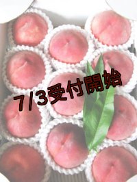 吟壌桃「あかつき」L-11〜12玉（3kg）