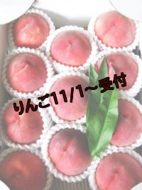 吟壌桃「あかつき」L-11〜12玉(3kg)