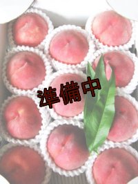 吟壌桃「あかつき」L-11〜12玉（3kg）