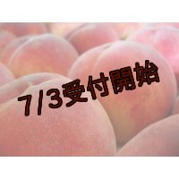 吟壌桃「あかつき」3L-12〜14玉（5kg）
